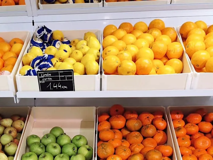 Auslage eines Obstladens mit Sincla-Holztabletts voller Zitronen, Orangen, Mandarinen und Äpfel, mit Preisen auf Kreidetafeln